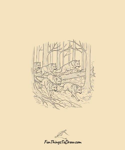 Wolf Pack Hunting Drawing