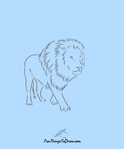 Pencil Sketch Lion