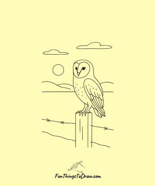 Barn owl perched on a fence post at dusk 