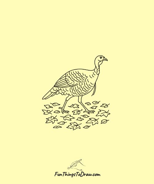 Drawing of Wild turkey walking through fallen leaves