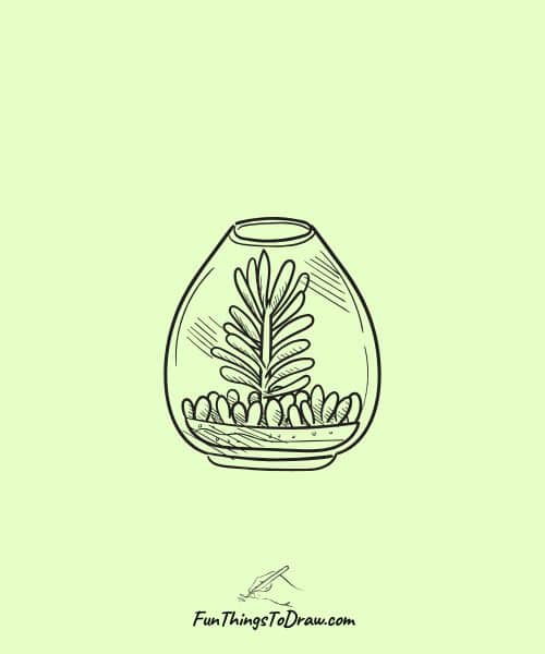 Cool Drawing of Succulent Terrarium