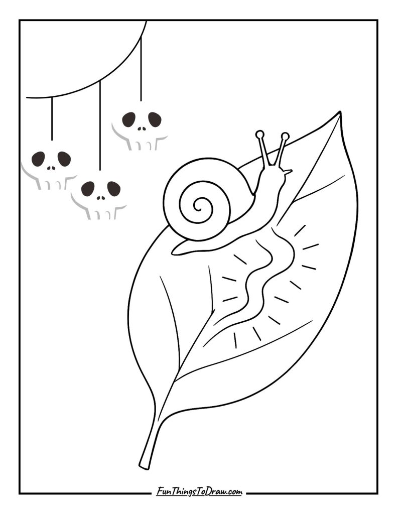 Snail Trail Coloring Page
