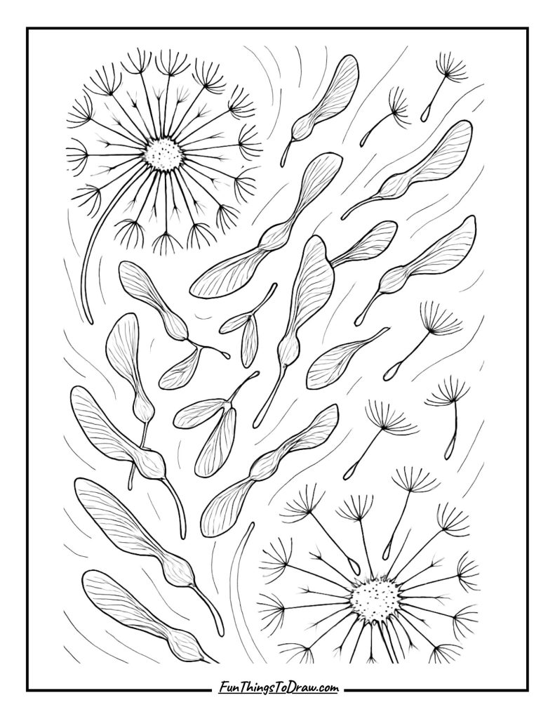 Autumn Seed Dispersal coloring page