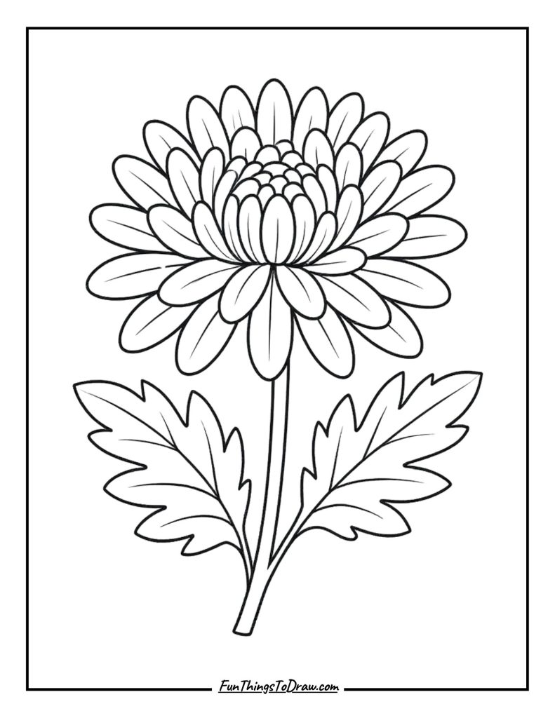 November birth flower (chrysanthemum) with detailed petals coloring page