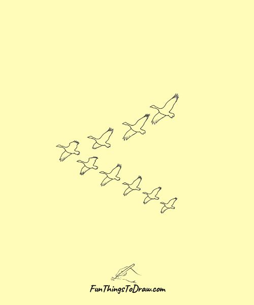 Migrating Birds Formation