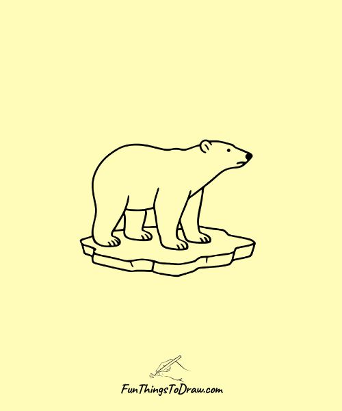 Easy bear drawing