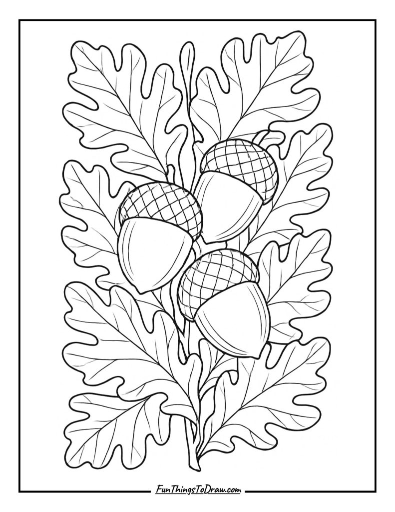 Acorn and Oak Leaves Coloring Page