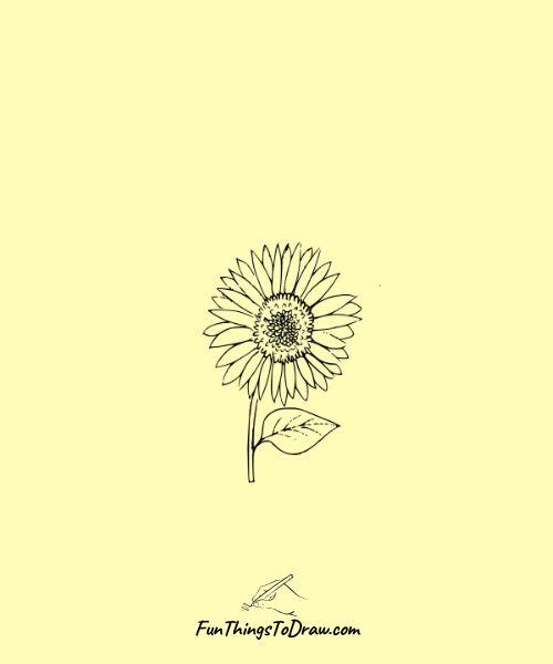 Sunflower drawing