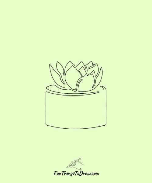Potted Succulent Drawing Easy