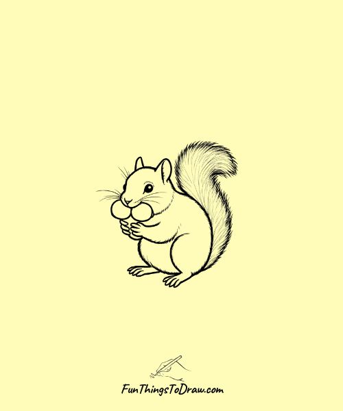 Squirrel eating acorn drawing