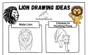 Lion Drawing Ideas