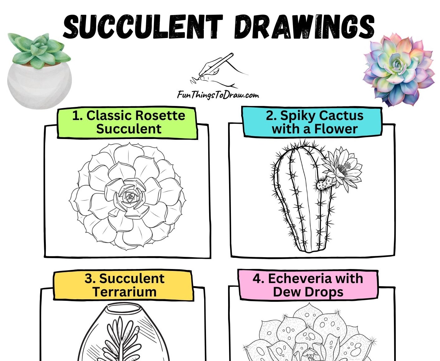 You are currently viewing Succulent Drawings (25 Easy Ideas)