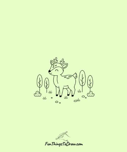 Deer in Forest