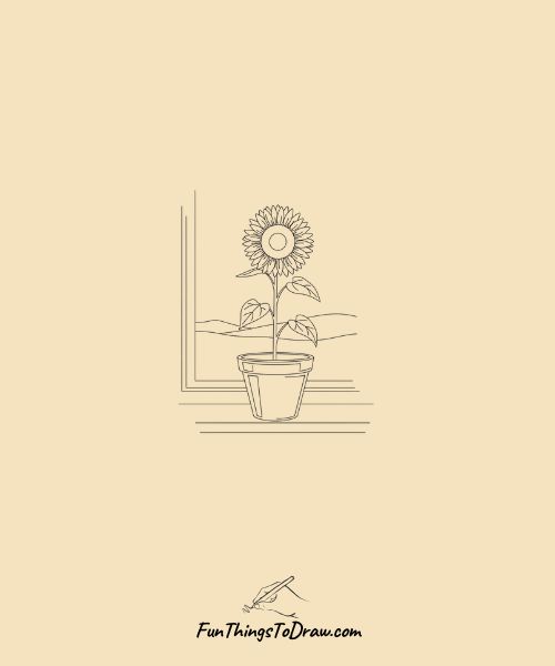 Potted sunflower