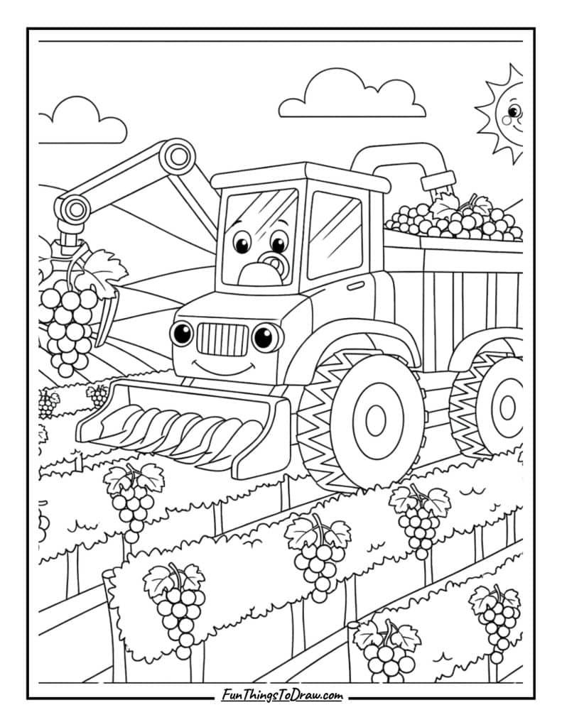 Grape harvester in vineyard rows