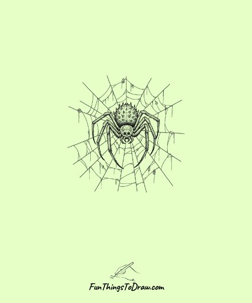 Creepy spider in giant web