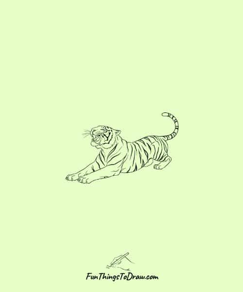 Tiger stretching lazily