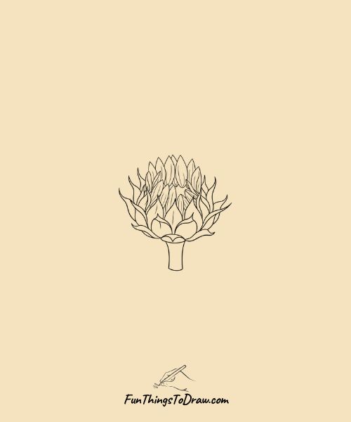 Sunflower bud