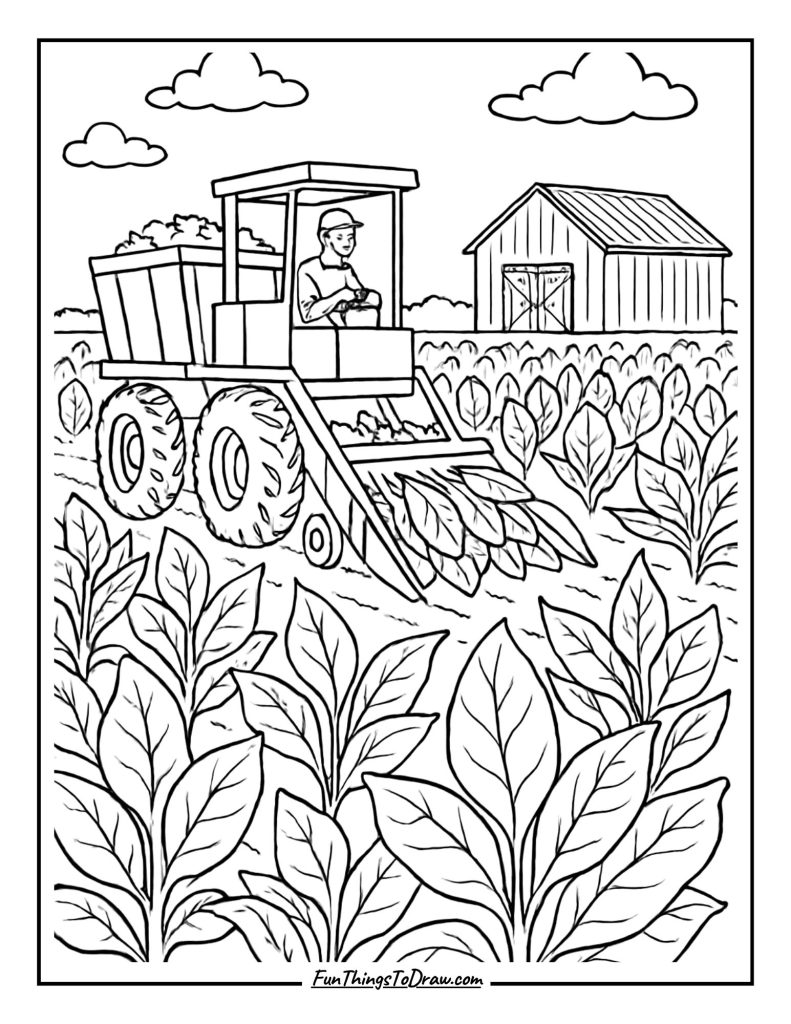 Tobacco harvester with curing barn