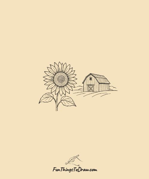 Sunflower and barn