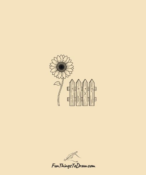  Sunflower by fence