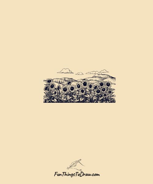 Sunflower field
