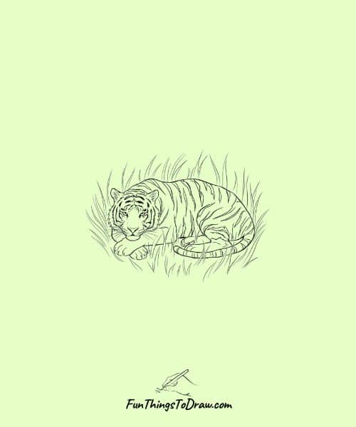 Tiger resting in tall grass
