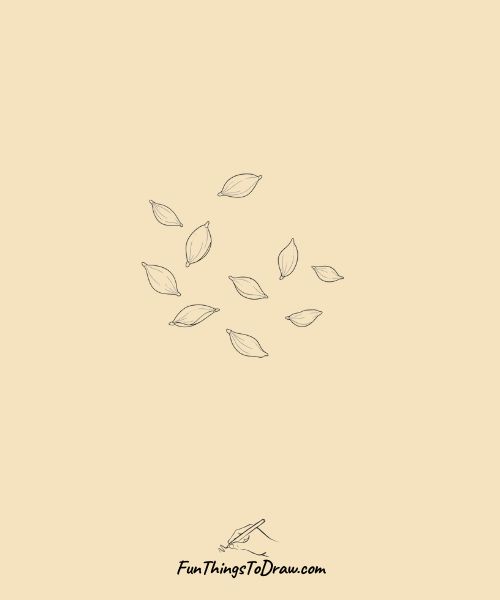 Fallen petals