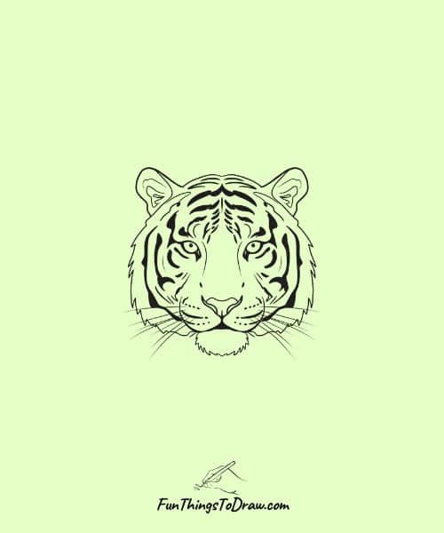 Tiger face symmetry