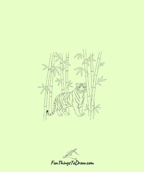 Tiger in a bamboo forest