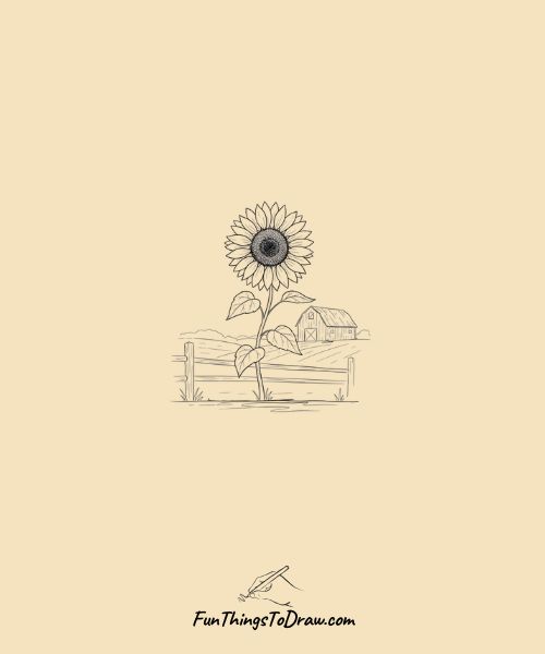Country sunflower