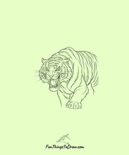 Tiger with a fierce expression