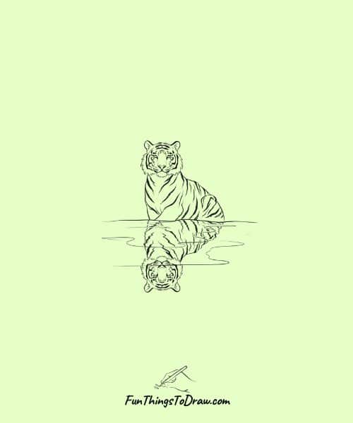 Tiger reflection in water