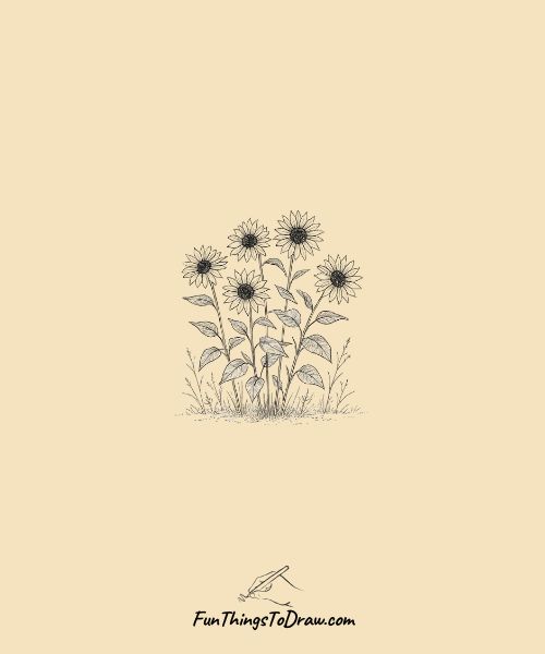 Wild sunflowers