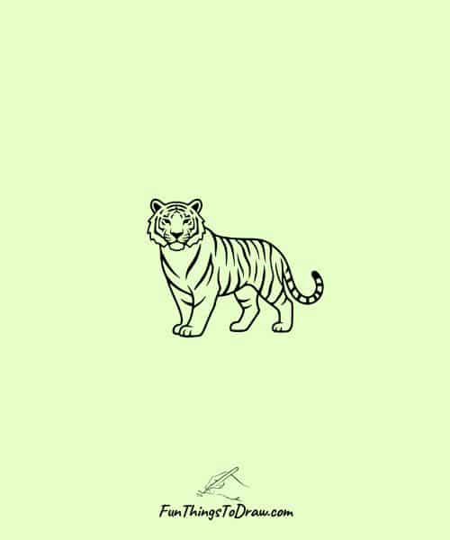 Tiger in a minimalist style