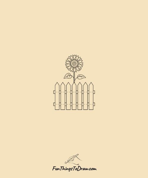 Picket fence sunflower