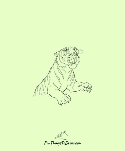 Tiger roaring with an open mouth