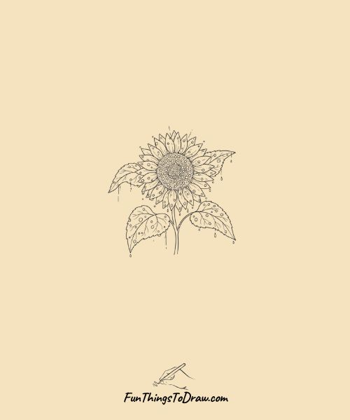  Dewy sunflower