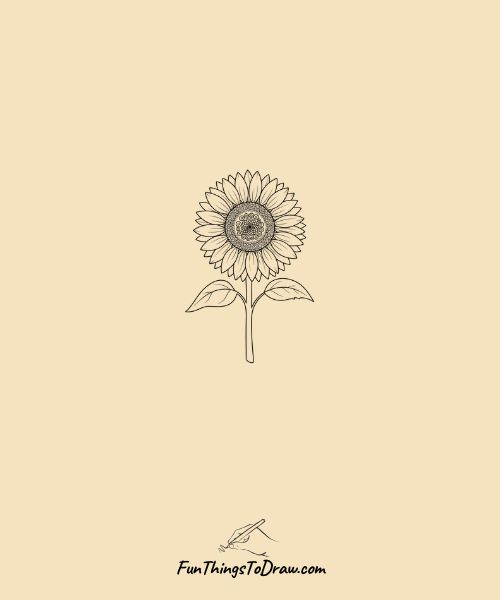 Farmhouse sunflower
