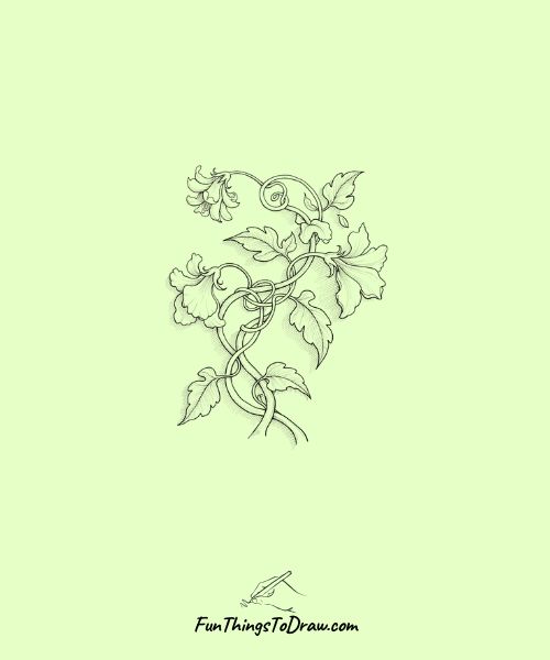 Shadowed Depth Vine
