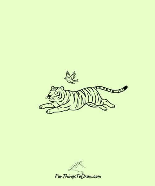  Tiger and bird