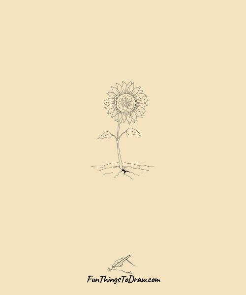 Roadside sunflower