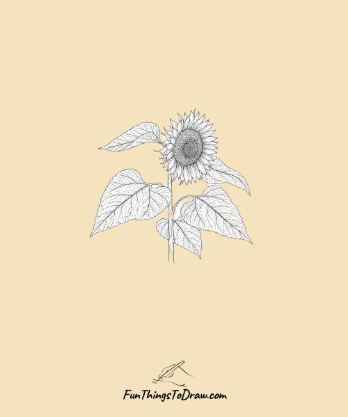 Detailed leaves