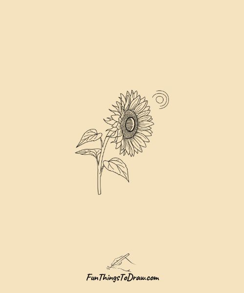 Sun-facing flower