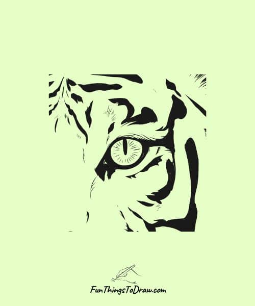 Tiger's eye close-up