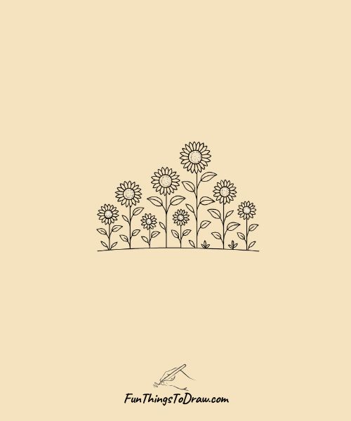 Sunflower garden