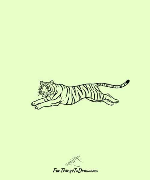 Tiger jumping through the air