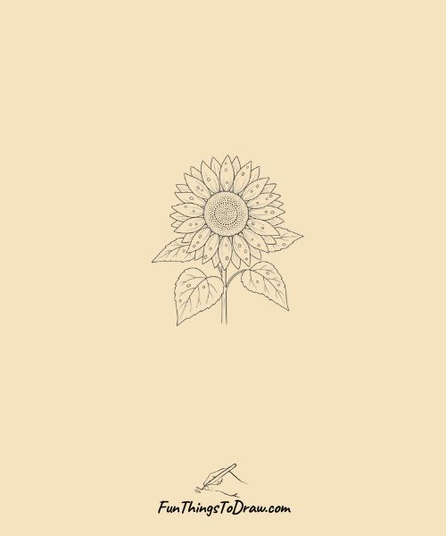 Wet sunflower