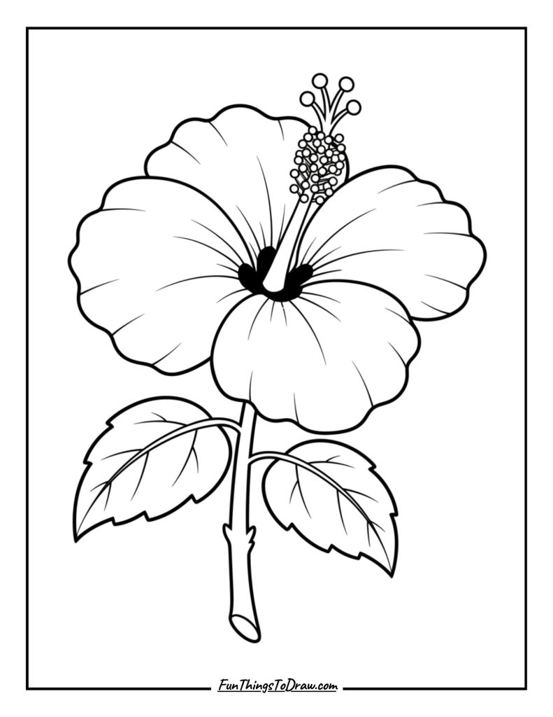 Hibiscus with Stamen Details