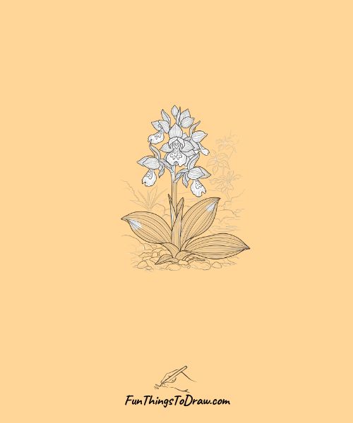 Wild orchid in nature